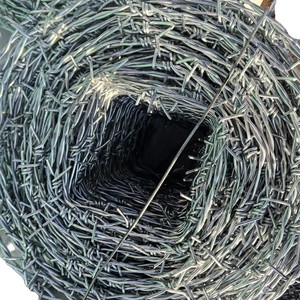 Alambre de púas antiescalada, Malla de alambre de acero galvanizado, Cuerda de alambre de púas, Valla de alambre de púas para exteriores, Cuerda de púas antiescalada - Product Image 4