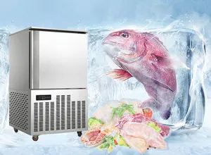 Kleine Größe-80 Grad Compact Blast Chiller Shock Freezer Schokolade Individuelle Quick Freezer für Thunfisch