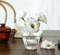 Offre Spéciale – Bouteille diffuseur de parfum Abmer/Or grande capacité 400 ml, flacon diffuseur personnalisé, bouteille en verre ronde avec bouchon, vase