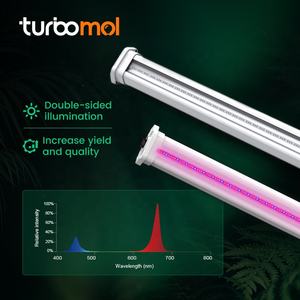 Tiras de Luz LED para Cultivo Comercial de 100w, Super 3.2μmol/J, 730nm Rojo Lejano, para Invernadero y Cultivos Múltiples - Product Image 5