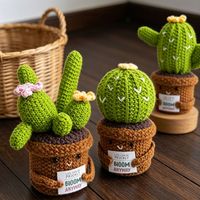 Tanaman Kaktus 3D Rajutan Tangan dari Katun dengan Kartu, Dekorasi & Hadiah Pernikahan