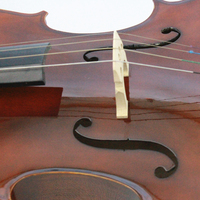 Cello 4/4 instrument High End Handmade Cello Musical Instrument with Ebony Strings Brazil Wood Bow Professional Cello