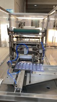 Lotion pour le corps Crème pour le visage Emballage remplissant de boîtes en carton Ligne de conditionnement entièrement automatique Équipement de boxe