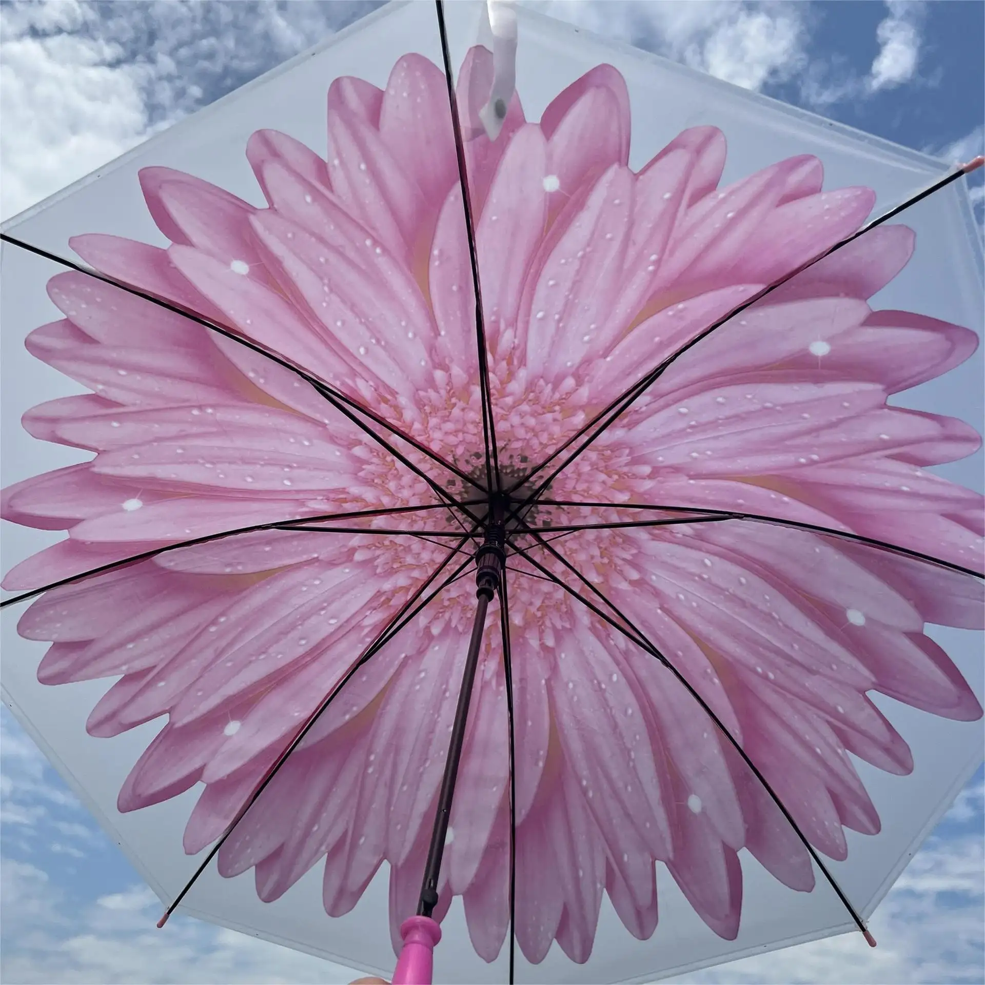 명확한 우산 큰 꽃 인쇄 비 스틱 여성 방풍 긴 손잡이 직선 PVC 투명 우산 W24-104