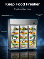 Réfrigérateur Vitrine à Porte Vitrée Électrique Vertical avec Dégivrage Automatique et Contrôle Numérique de la Température pour Bar, Réfrigérateur à Bière Vertical