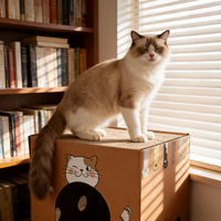 Maison pour chat en papier recyclé biodégradable, abri intérieur en papier vert, sûr pour les animaux et la planète, respectueux de l'environnement, approvisionnement en gros