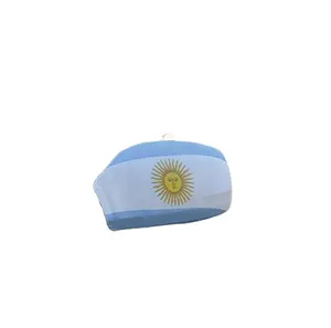 Consegna veloce tifosi di calcio Argentina car side mirror cover flag