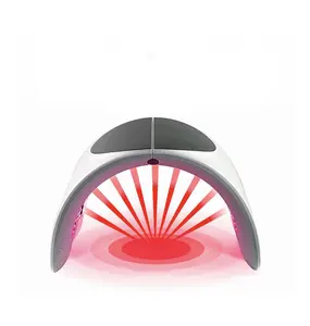 PDT LED Light Therapy macchina per la cura del corpo portatile 7 colori in piedi multifunzione macchina di bellezza riscaldamento a infrarossi accettato