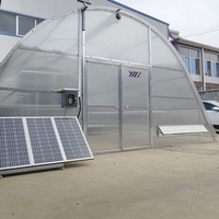 Four de séchage agricole durable à faible coût, structure en plastique et tunnel en film d'acier pour la culture de fleurs et de plantes