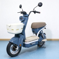 Prix direct usine OEM, cadre de vélo électrique haute puissance avec moteur 500W, 3 vitesses, siège électronique confortable pour la conduite urbaine adulte