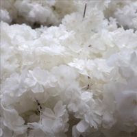 Arche de mariage artificielle en fleurs de cerisier blanches pour chemin de table, cérémonie, fête, décoration d'événements