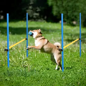 Açık köpek çeviklik eğitim başlangıç kiti Pet eğitim için engel kursu eğitim direkleri temel ekipman içerir