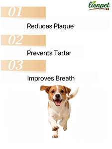Soins et compléments pour la santé des animaux de compagnie : Poudre dentaire, <span class=keywords><strong>traitement</strong></span> anti-<span class=keywords><strong>puces</strong></span> et tiques pour chiens et chats, complément immunostimulant pour animaux de compagnie - Product Image 5