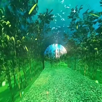 Écran LED interactif de tunnel temporel, mur vidéo micro-LED incurvé flexible immersif 8K, certifié cinéma aérien, HDR
