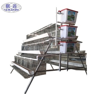 Durable granja avícola huevo <span class=keywords><strong>pollo</strong></span> capa de jaula de cría de equipo para <span class=keywords><strong>el</strong></span> mercado de África - Product Image 1
