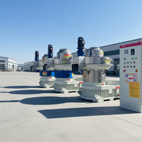 Machine à granulés de bois à matrice annulaire, certifiée CE, pour la fabrication industrielle de granulés de biomasse