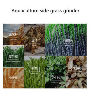 Çok güçlü motorlar tanışın talep kırıcı sapı dizel Motor Motor hayvan yemi pirinç mısır saman saman kesici kırıcı yem mikseri - Product Image 3