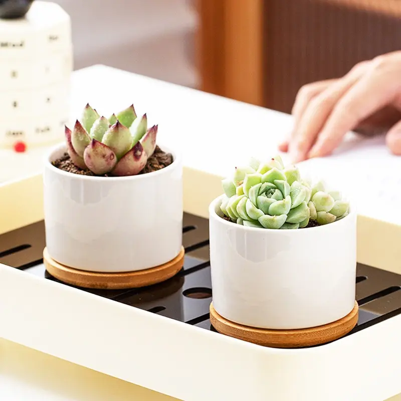 FP017 sublimazione in bianco rivestito personalizzato succulenta fioriera in ceramica fioriera vaso di fiori con vassoio di bambù vaso di fiori alla rinfusa