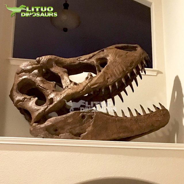 Life Size Dinosaur Skeleton T-Rex Skull
