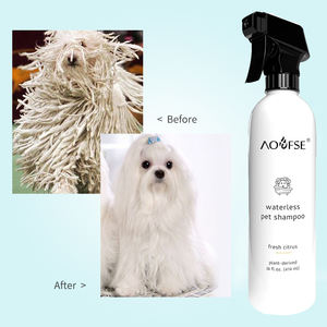 الجملة العضوية الطبيعية لا شطف جدب شامبو للحيوانات الأليفة القط الكلب الشعر إزالة الروائح الكريهة تنظيف الحيوانات الأليفة شامبو جاف - Product Image 4