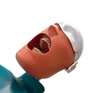 Model dental Phantom kepala phantom, Unit simulasi Dental kepala dental