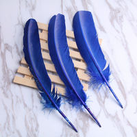 Plumas de Cola de Pavo Redondas de Alta Calidad, Blanqueadas y Teñidas, de 25-30 cm