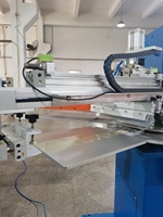 Máquina de impresión de pantalla de seda, carrusel automático de 2 colores para camisetas, ropa, Textil