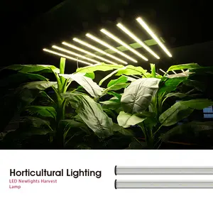 OEM Product IP65 LED Grow Lighting Full Spectrum Horticultural Lighting For Vegetables Seeds