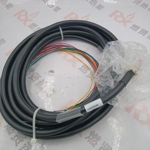 CABDYN20-10 ตัวควบคุมการเผาไหม้สายเคเบิล MTL สำหรับ Spot 20 - Product Image 1