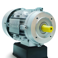 Moteur électrique Hoyer TECO ATB VEM 90kw 132KW 150kw 160kw Moteur triphasé LENZE SCHORCH MARATHON Moteur à induction B3 B5