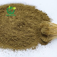 Poudre de thé vert Hojicha torréfié pur, mouture fine, pour usage en café et boulangerie