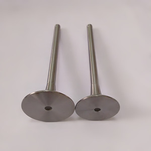 Đầu vào hút Van điều khiển hút đĩa và van xả khí thải cũ 0213 7457 0223 2717 cho động cơ Deutz fl912 - Product Image 3