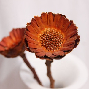 Chrysanthèmes séchés préservés, 10 tiges, pour décoration maison, mariage, Pâques, vente en gros personnalisée, directement de l'usine - Product Image 6