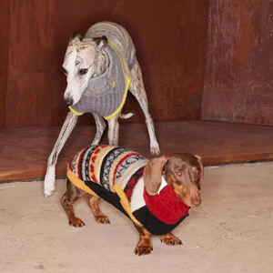 Pakaian hewan peliharaan rajut modis lembut, pakaian hewan peliharaan untuk kegiatan dalam dan luar ruangan, pakaian hewan anjing peliharaan - Product Image 5