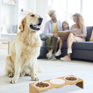 Bambu ayakta tip besleme istasyonu tepsi ile çift seramik evcil hayvan kaseleri yükseltilmiş köpek ve kedi su çanak tepsi - Product Image 5