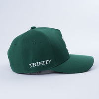 Gorra de Béisbol de Alta Calidad de 5 Paneles con Visera Curva, Gorra de Sarga de Algodón Verde, Estilo Deportivo Personalizado, Logotipo Bordado