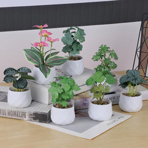 Gran oferta, pequeño mini bonsái de plástico, <span class=keywords><strong>Cactus</strong></span> falso, suculentas en maceta, plantas artificiales en maceta - Product Image 2