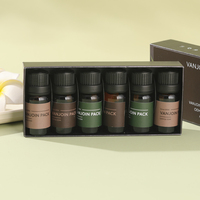 Flacon en verre ambré miniature de 10 ml pour huiles essentielles, flacons d'aromathérapie avec compte-gouttes et bouchon noir inviolable