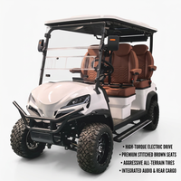 Voiturette de golf classique à siège épais, design populaire, buggy de tourisme, chariot de golf au lithium – Marchés USA, Espagne, Italie