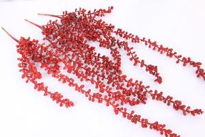 A-693 Artificial colgando 2FT Cadena de perlas de plástico amante de las lágrimas de planta suculenta para jardín de Casa decoración de la pared - Product Image 5