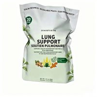 Mélange de tisanes OEM ODM certifié GMP ISO22000, 20 sachets de 40g, gingembre, curcuma, molène, menthe verte, sans caféine