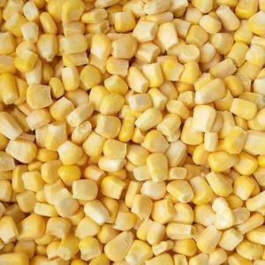 IQF Frozen <span class=keywords><strong>Sweet</strong></span> <span class=keywords><strong>Corn</strong></span> Kernels für eine schnelle und einfache Zubereitung von Mahlzeiten in Restaurants und Häusern - Product Image 3