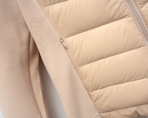 2025 Mùa Thu Và Mùa Đông Ánh Sáng Mới Xuống Áo Khoác Phụ Nữ Thể Thao Ngoài Trời Tập Thể Dục Đứng Cổ Áo Mỏng Leo Núi Yoga Chắp Vá Áo - Product Image 3