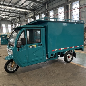 Mini Furgone Elettrico Cinese Triciclo Chiuso Personalizzabile con Motore Sistema Tetto Batteria al Litio Ottimizzazione Carico Bianco Blu - Product Image 4