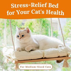 Cama de percha para gatos, 4 ventosas fuertes, hamaca para mascotas para gatos de interior - Product Image 2