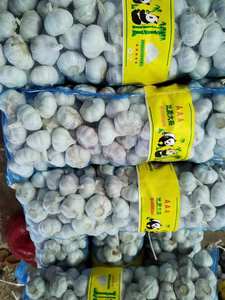 Tüm satış beyaz sarımsak/sarımsak/hint sarımsak 2025 - Product Image 3