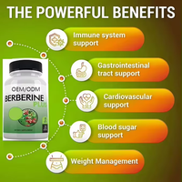 Complément alimentaire 120 Veggie Berberine Plus pour le soutien immunitaire et la santé métabolique, capsules de berbérine HCL à absorption élevée, non-OGM
