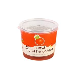 Artículos <span class=keywords><strong>de</strong></span> Jardinería para el Hogar, Frutas y Verduras, Flores, Maceta Pequeña, Juego <span class=keywords><strong>de</strong></span> Caja Ciega para Plantar Granos en el Oído, Cultivo Nutritivo - Product Image 5