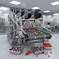 Droger voor vijgen, tomaten, fruit en groenten
