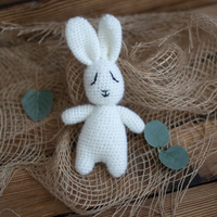 Jouet de renard en tricot pour la photographie Amigurumi ours en peluche lapin agneau Lion pingouin jouet nouveau-né Photo Shoot poupée accessoires